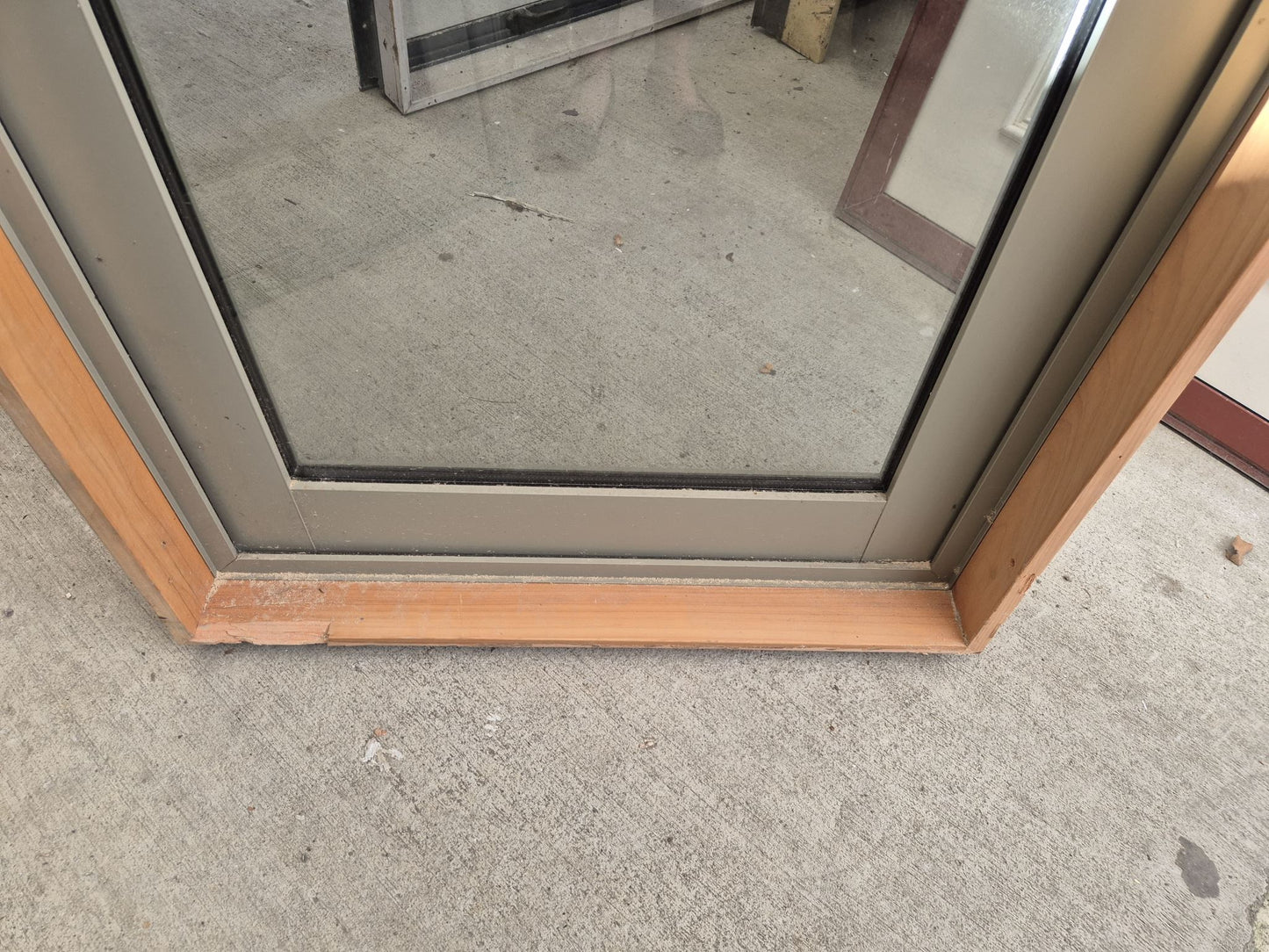 Double Glazed Lichen Green Single Door 2010 H x 790 W #2127