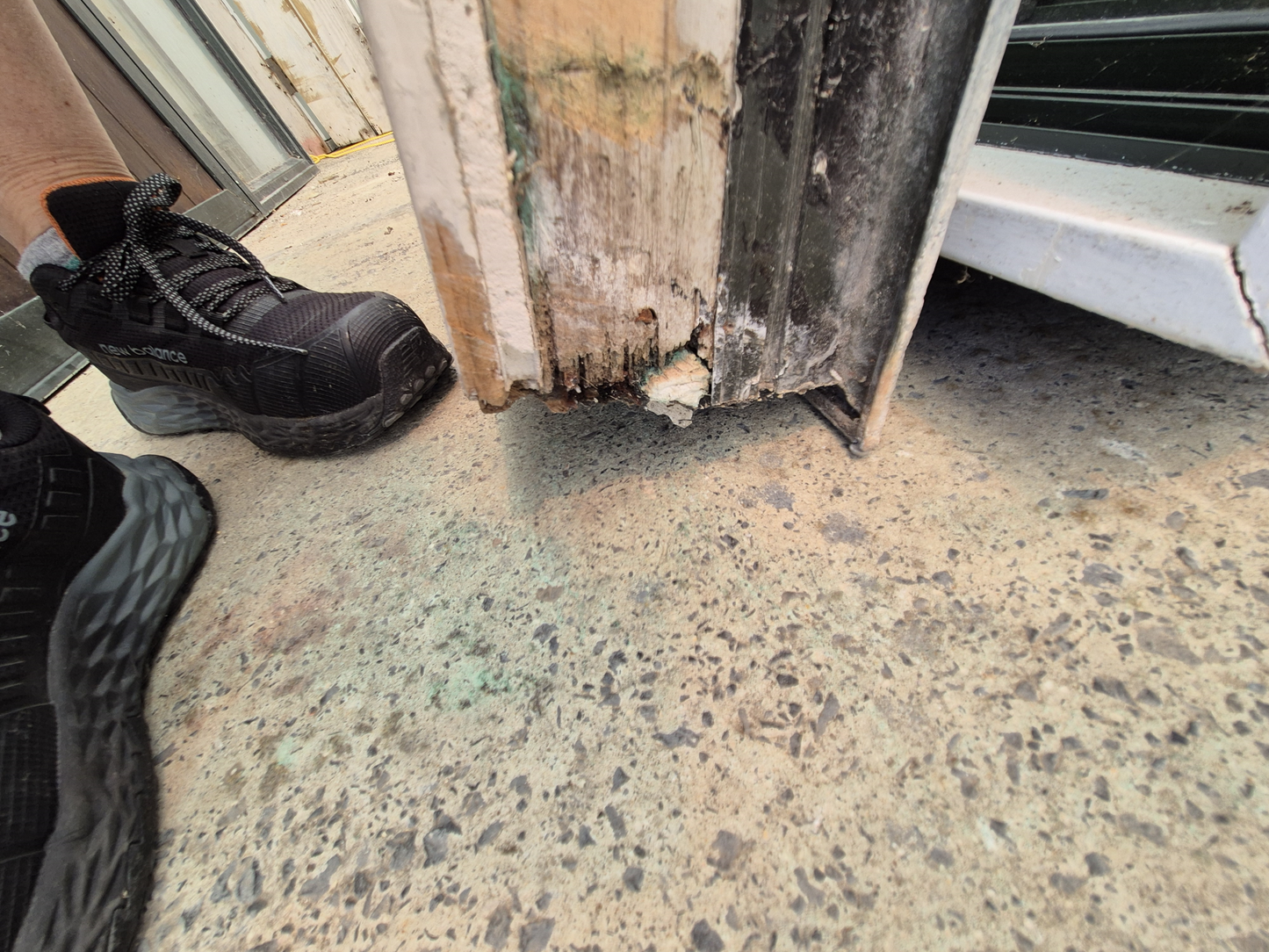 Karaka Green French Doors 2 H x 1.8W #2272a see matching joinery