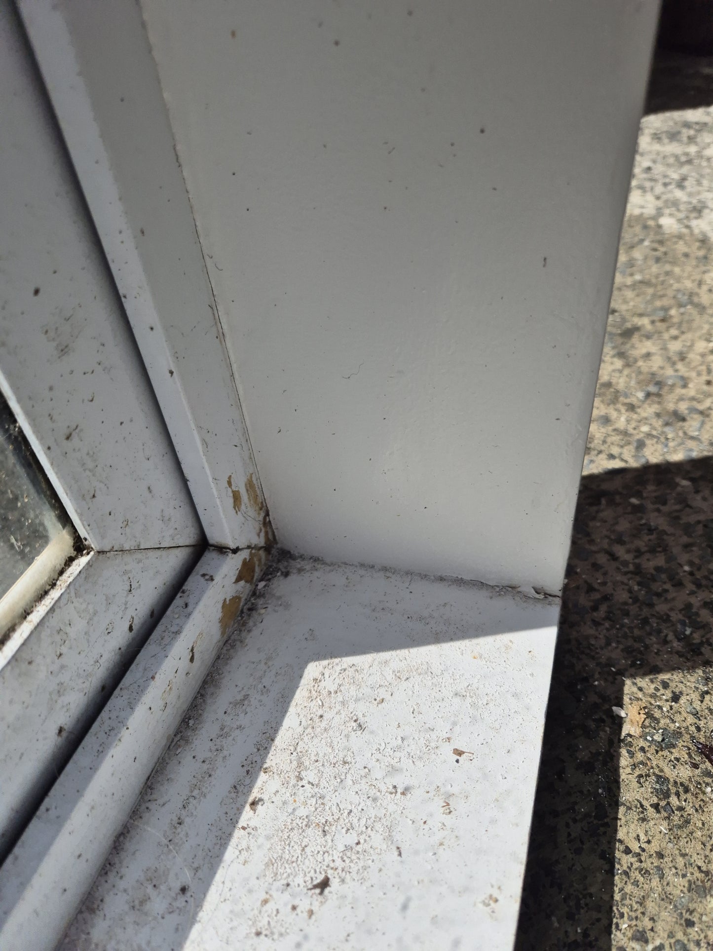 White French door with opening windows 2m H x 2050 W #2086