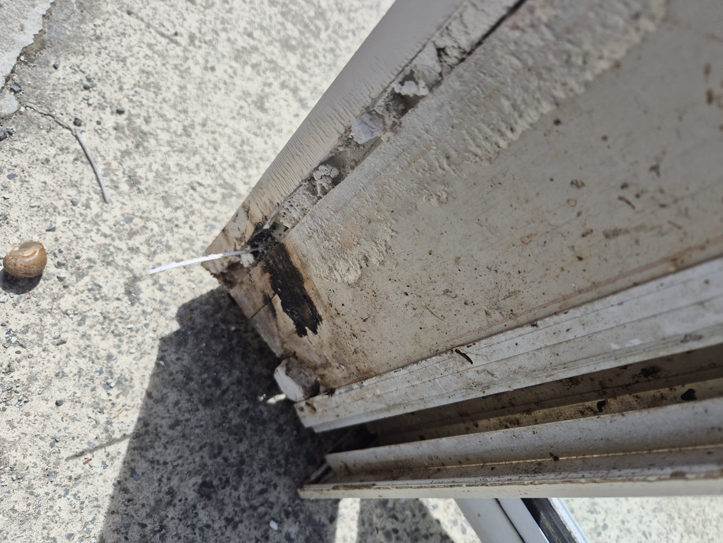 White Double Glazed French Doors with opening windows 2m H x 2.110W #2087