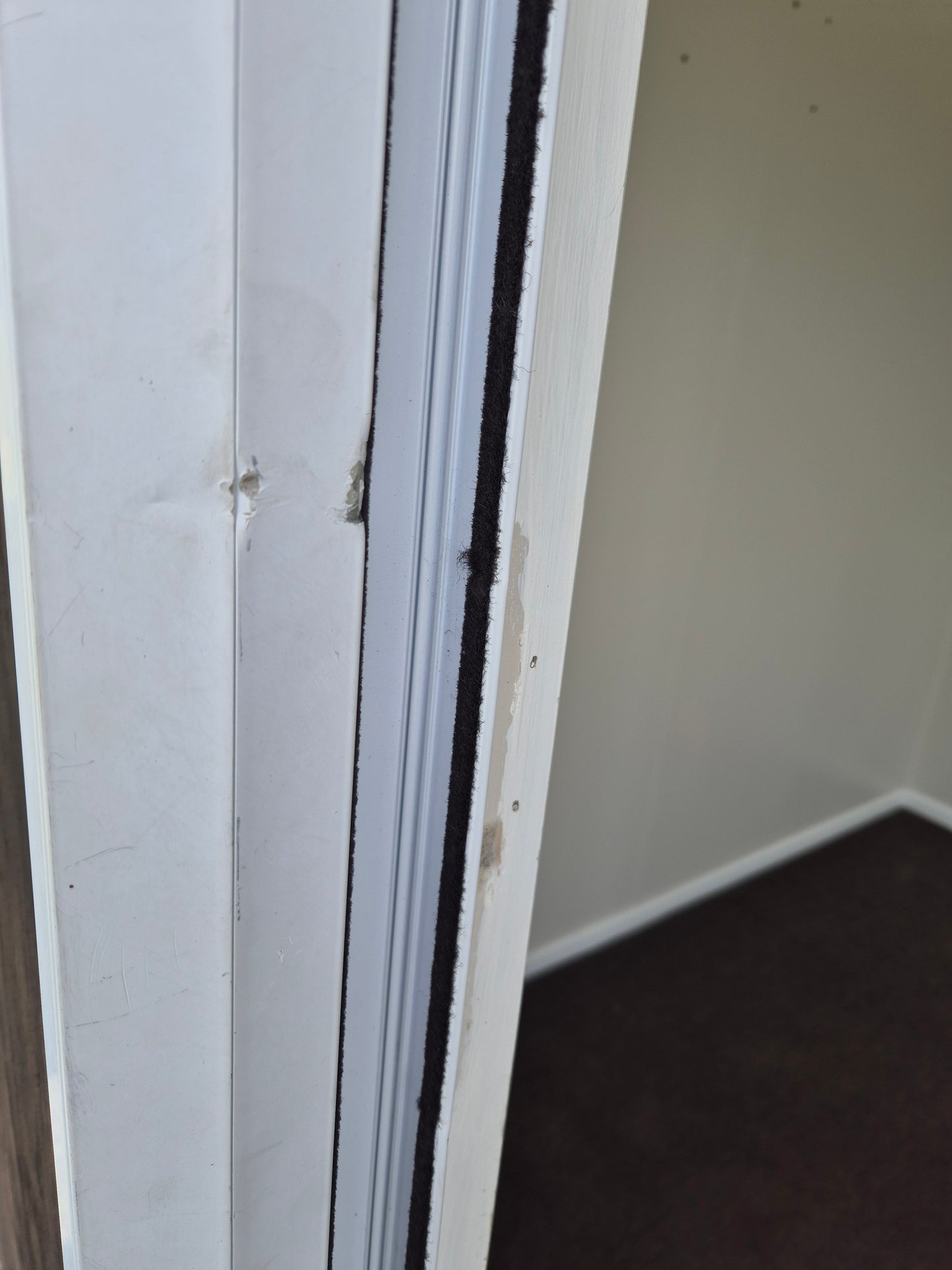 Small Cabin with Arched roof, painted & carpeted