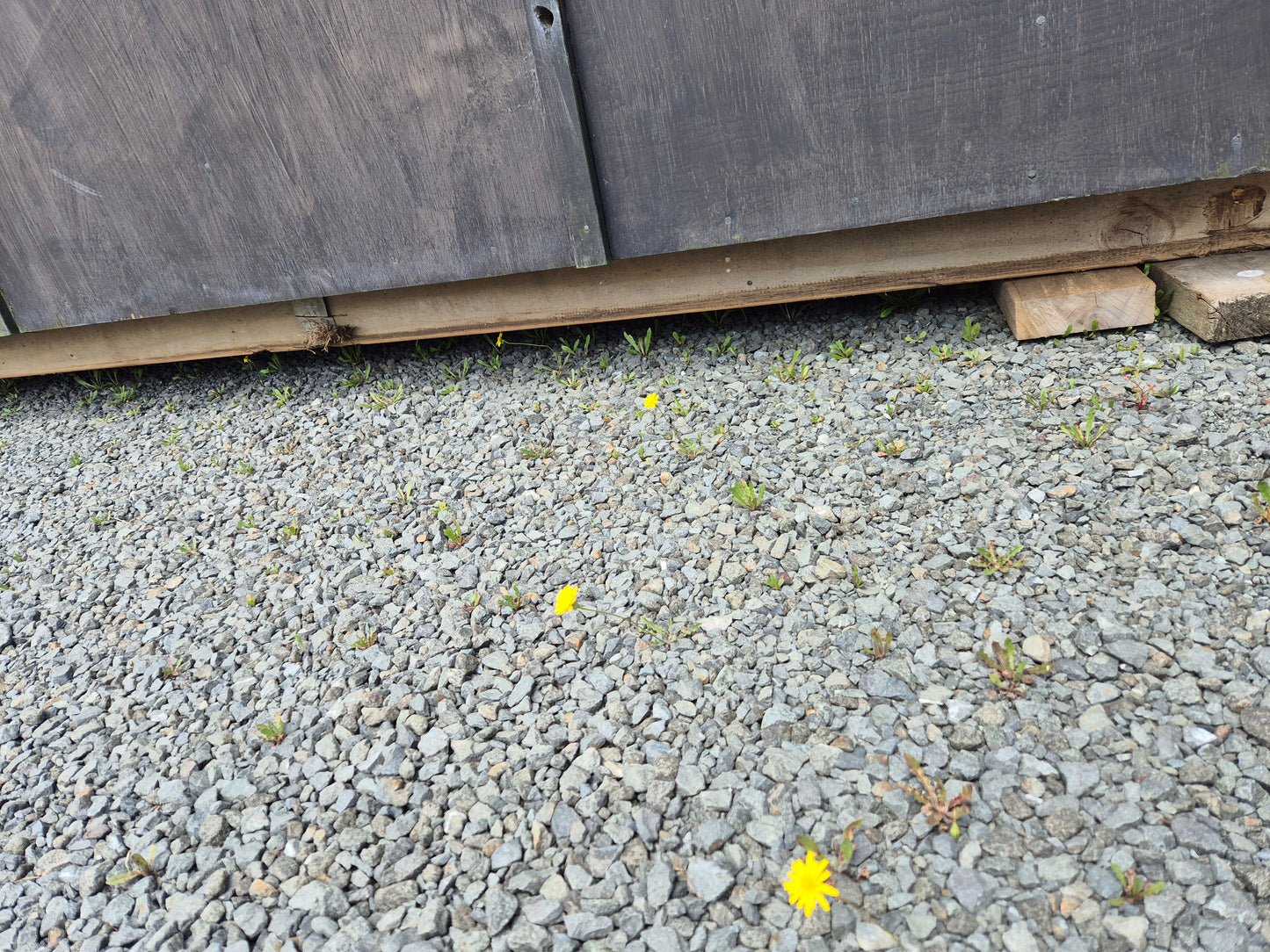 Small Cabin with Arched roof, painted & carpeted