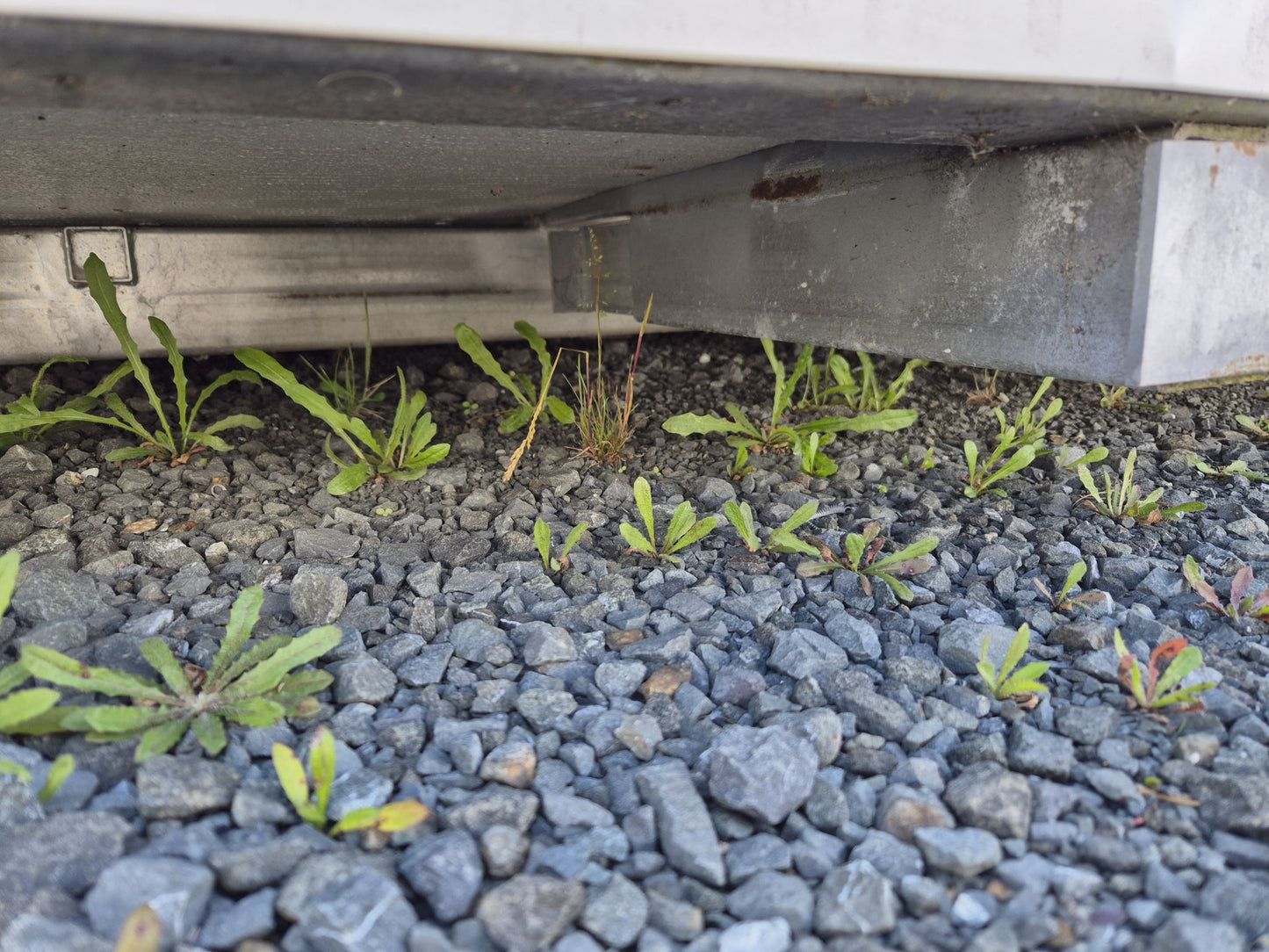 INSTANT SLEEPOUT 6m x 3m DG Joinery, wired, carpet, curtains