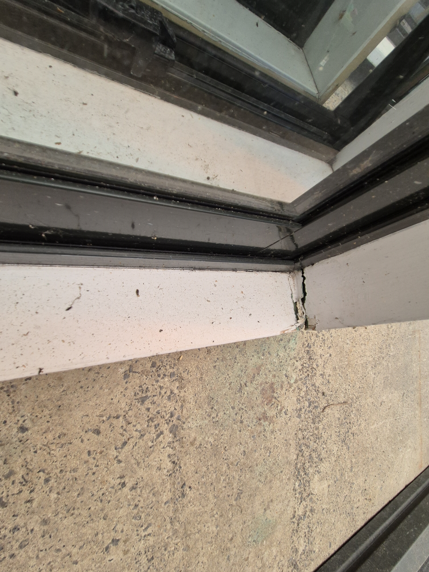 Karaka Green French Doors 2 H x 1.8W  #2272a see matching joinery