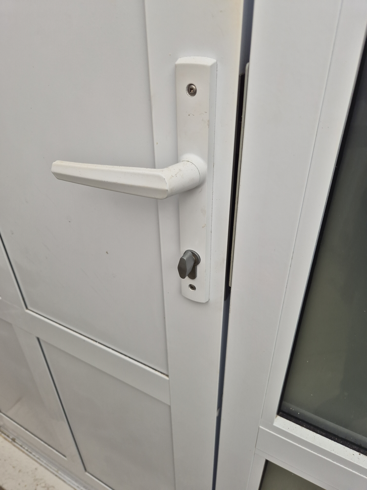 Modern Double Glazed Entranceway 2m H x 1.2 W #2343